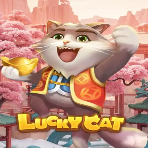Discover the Thrilling World of LuckyCat: Brazil's Leading Betting Platform